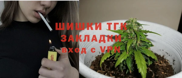 гидра Протвино