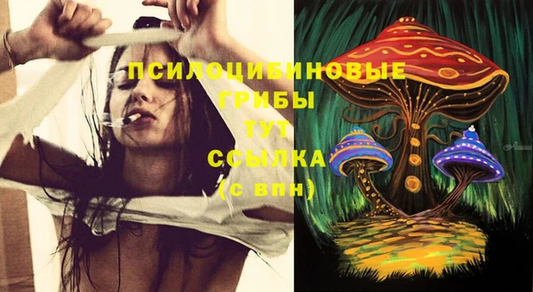 крисы Баксан