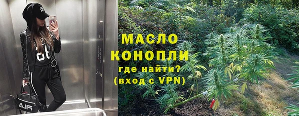 крисы Баксан
