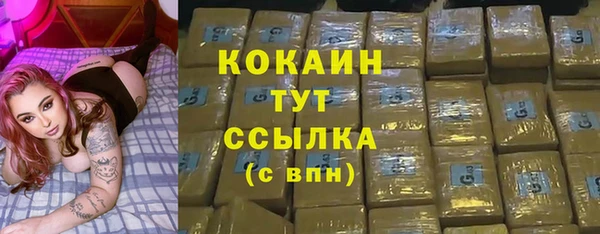 крисы Баксан