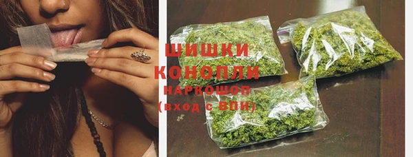 крисы Баксан